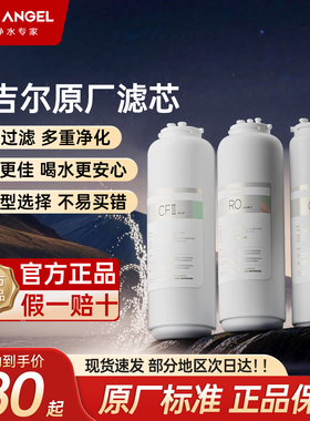 安吉尔原装滤芯净水器家用前置过滤器NAC/RO反渗透/哪吒/PP/US/CF