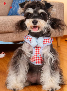 可爱格子蝴蝶结狗牵引绳小型犬宠物绳蓝红色调牵引带