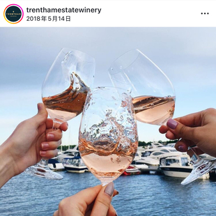 【99元买一送一】澳大利亚特伦庄园 新南威尔士州葡萄酒大赛银奖