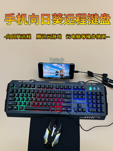 手机连接向日葵远程dnf云游戏MC