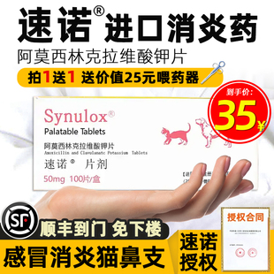速诺消炎片猫感冒药消炎鼻支阿莫西林克拉维酸钾片宠物猫狗通用药