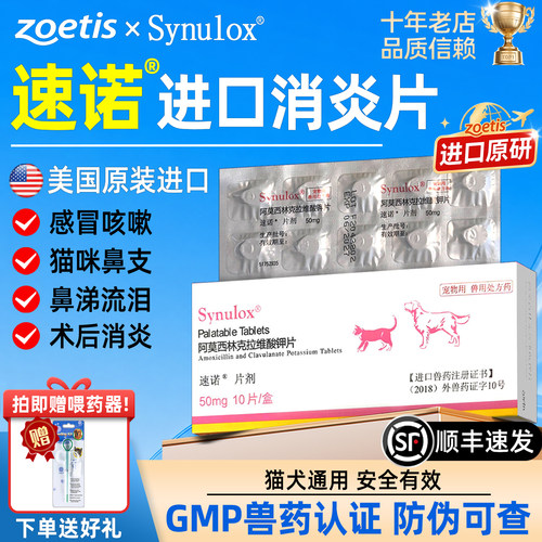 速诺猫狗阿莫西林感冒鼻支消炎药