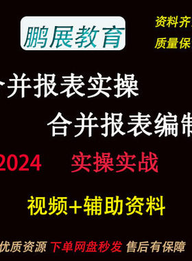 2024年财务报表合并视频 财务报表合并编制 实操视频教程 B13