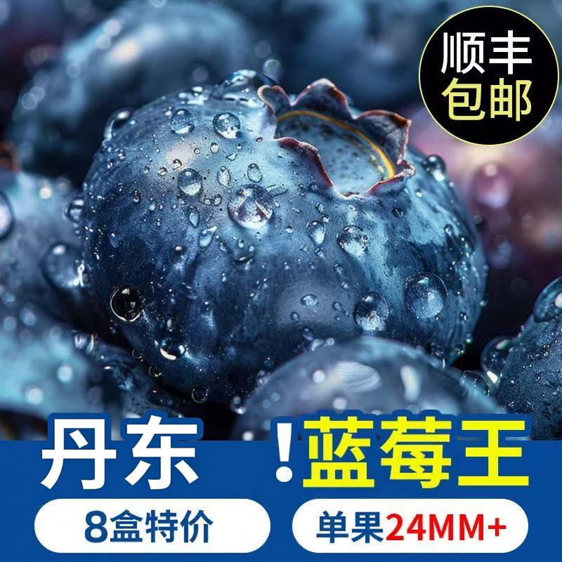 顺丰包邮丹东蓝莓L25脆甜