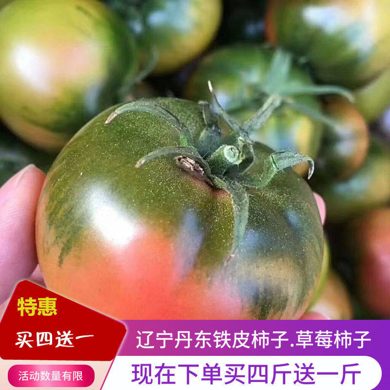 丹东铁皮柿子草莓柿子