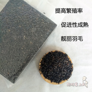 黑尖粟尼日尔草籽鹦鹉提性促繁殖金丝雀鸟食鸟粮进口450g 新粮