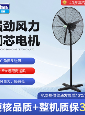 德通绿标工业强力风扇大风力落地电风扇工厂大功率牛角扇DF650-4