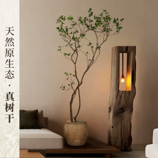 海虹雅林海岛春花绿植高级仿真室内落地中古高端轻奢摆件植物假树