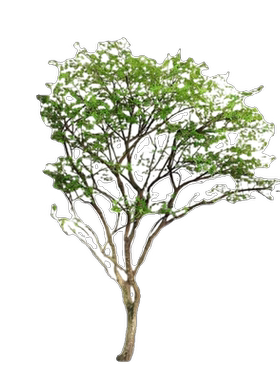 假树仿真树仿真绿植天井橱窗景观