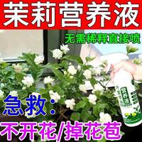 茉莉花营养液徒长不开花花苞少掉落增长花苞促开花延花期液体肥