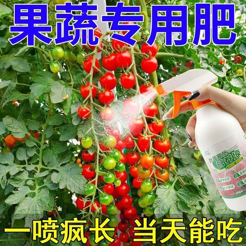 植物通用活力素种菜专用肥菜多多果蔬通用营养液青菜辣椒番茄专用 鲜花速递/花卉仿真/绿植园艺 家庭园艺肥料 原图主图