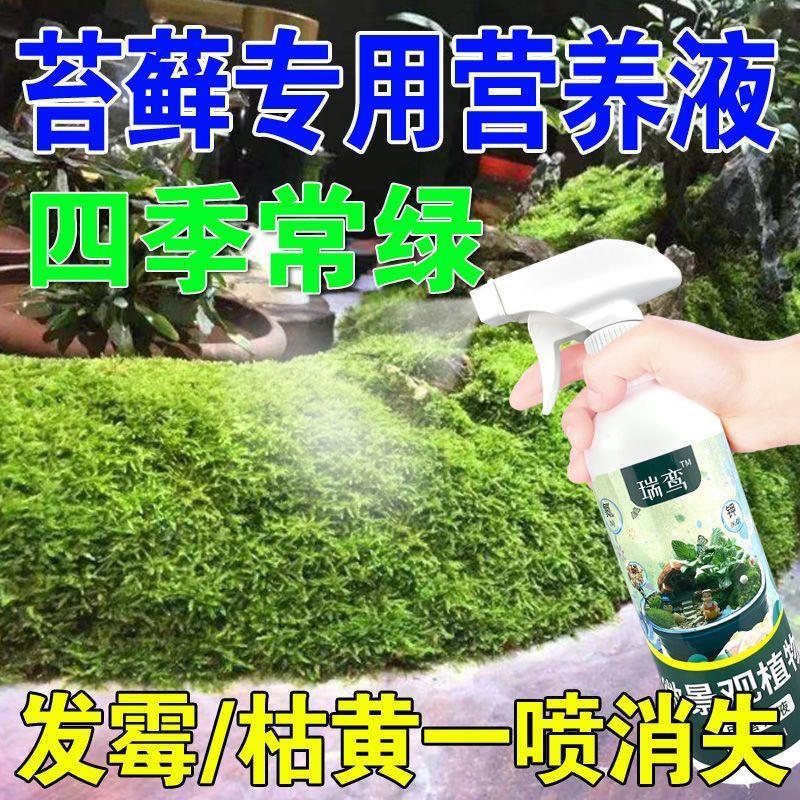 肥料花卉绿植用花营养液苔藓营养液雨林缸微景观发霉枯黄液体肥盆