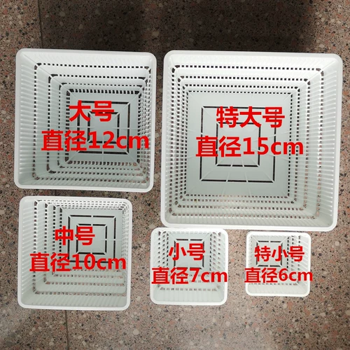 Маленькая милая красавица корень пластикового цветочного горшка многосеченое пейзаж небо сказочный мяч Shengshi Flower свинина Conepertex