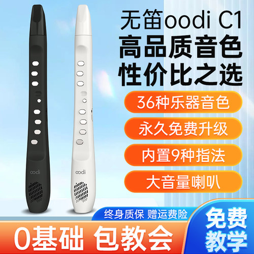 无笛电吹管初学入门乐器终身质保