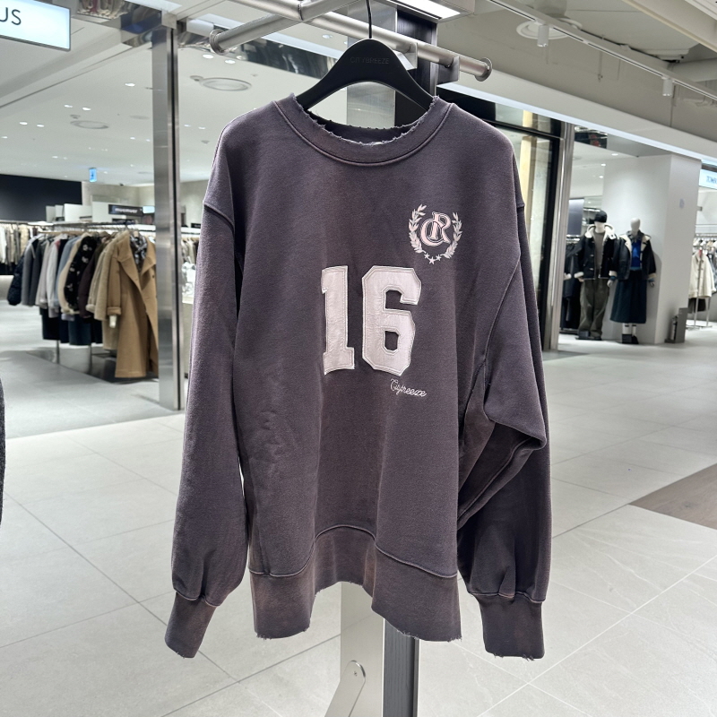 不退换全韩百货CITYBREEZE韩代2025冬 休闲卫衣 CTH4SW02 5L06