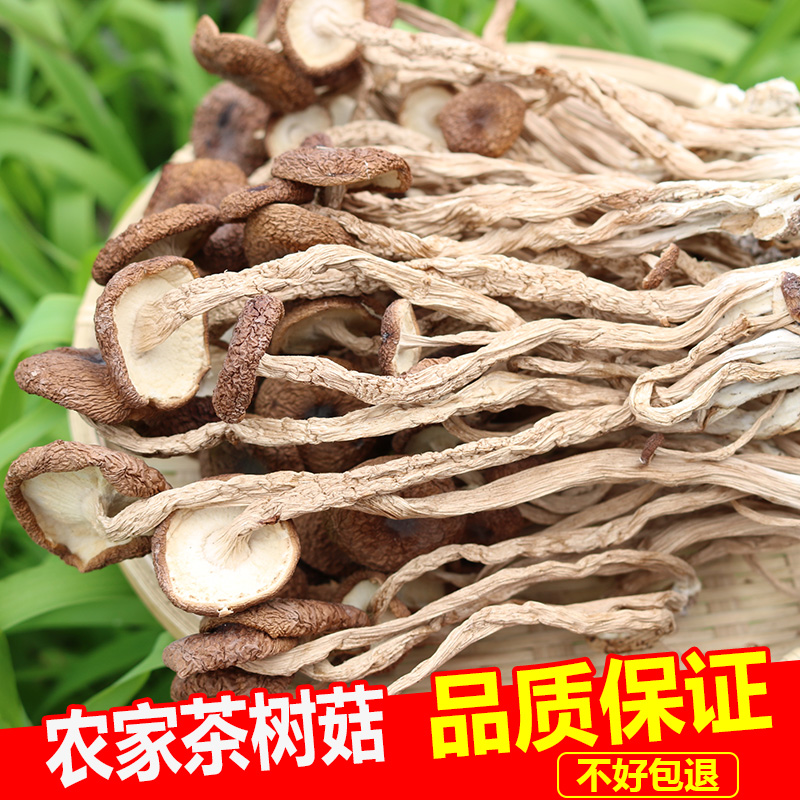 茶树菇干货农家自产新货冰菇不开伞500g江西特产散装茶薪菇批发