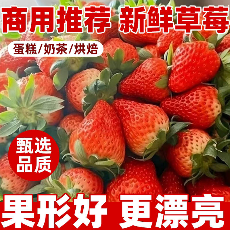 云南四季双流草莓新鲜商用蛋糕奶茶果酱糖葫芦一整箱包邮