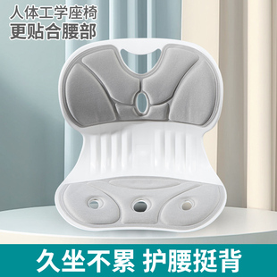 人体工学护腰坐垫办公室久坐必需腰椎支撑腰靠垫通用缓痛矫正坐姿