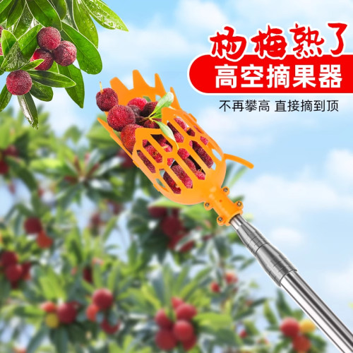 高空摘果神器果园杨梅水果采摘