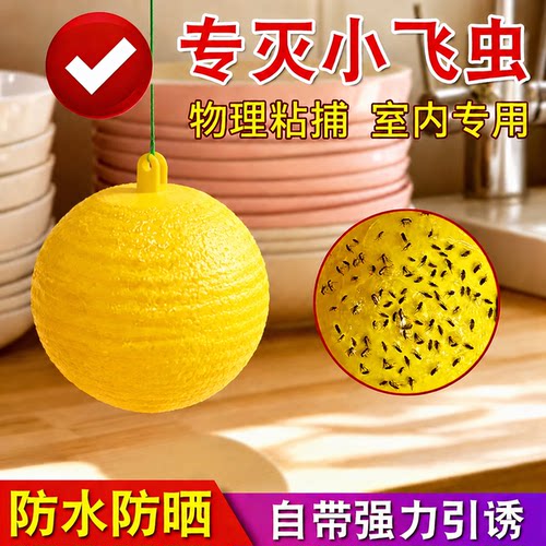 室内小飞虫蚊蝇强力诱捕粘虫球