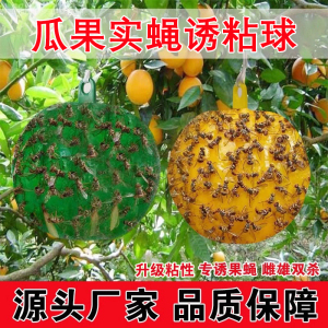 诱蝇球柑橘大实蝇诱捕球瓜果实蝇粘虫球针蜂果蝇诱虫球针蜂引诱剂