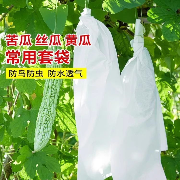 丝瓜黄瓜青瓜苦瓜套袋防虫专用