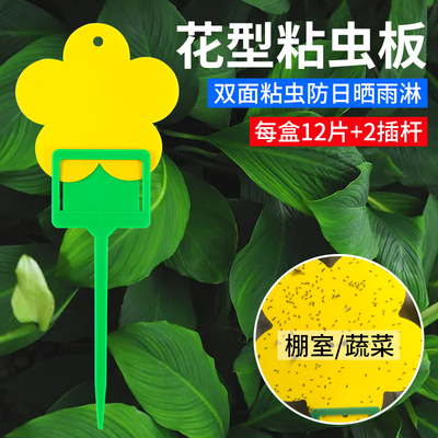 农用粘虫板夏季室内专用