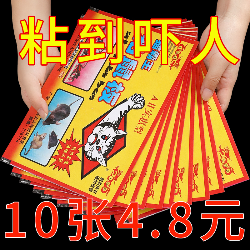 老鼠贴强力粘鼠板超强粘力