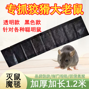 粘鼠毯老鼠贴1.2米捉鼠捕鼠家用灭大老鼠抓鼠一窝端胶粘鼠板器神