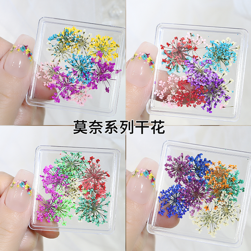 莫奈花园美甲干花小清新碎花饰品