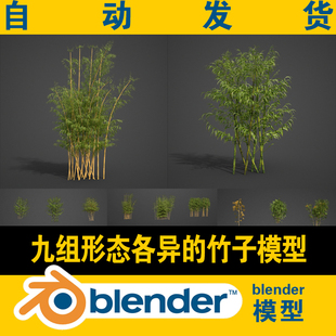 blender模型工程文件九组形态各异的园林景观竹子|非插件含贴图