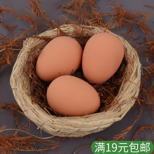 仿真鸡蛋弹力整人玩具宠物橡胶实心假整蛊道具鸡舍引导产蛋防啄