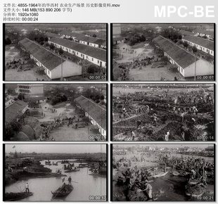 1964年的华西村 农业生产场景 历史影像资料高清实拍视频素材