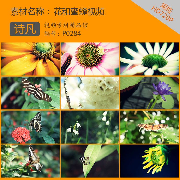 景色春天花开视频素材高清自然绿色花蕊LED背景唯美风景蜜蜂采蜜