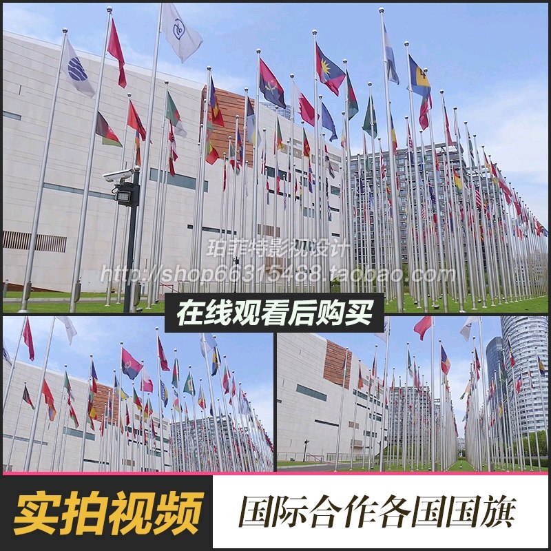 世界各国国旗飘扬国际合作交流会议旗帜各国国旗联合国视频素材