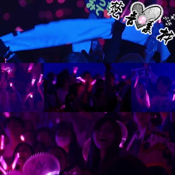 非实物  非教程   付款后旺旺聊天窗口发送网盘下载链接  素材详情请看详情页。