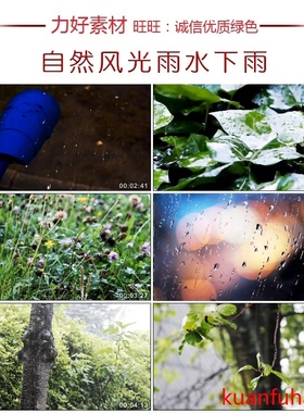 CS011高清实拍落雨自然风光雨水下雨雨滴下雨天视频素材