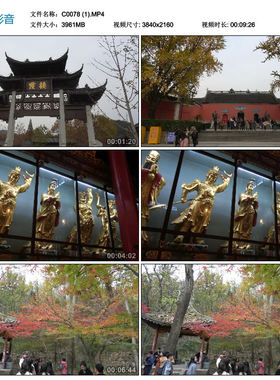 南京栖霞山栖霞寺建筑千佛岩游客人流秋天景色4K高清实拍视频素材