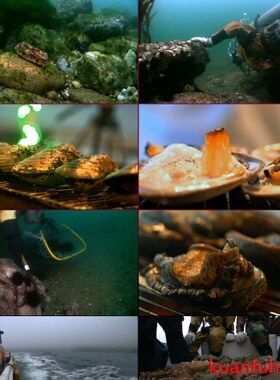渔民出海捕捞 打捞海产打渔 海鲜美食鲍鱼烧烤烹饪 高清视频素材