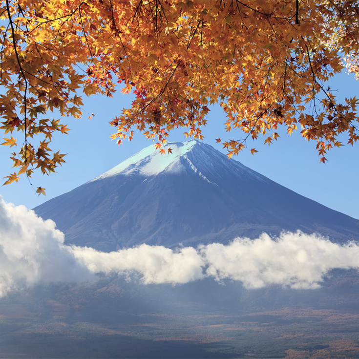 B393日本菩提自然风光风景高清图片设计素材图库摄影照片经典画册