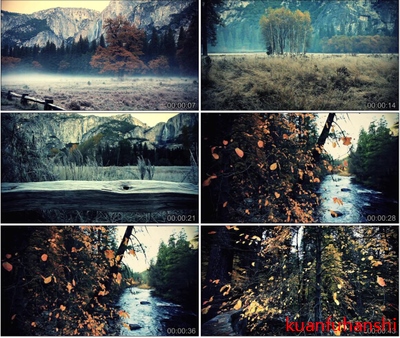 高清实拍视频素材山区大山深山树林原始森林河水树木落叶美丽风景