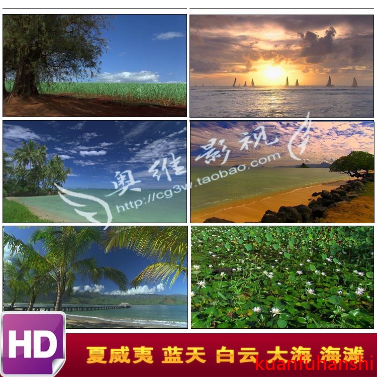 V247夏威夷 蓝天白云大海 海滩 城市 夕阳 睡莲高清实拍视频素材