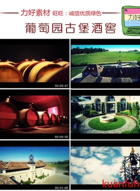 葡萄庄园古堡红酒窖大酒桶葡萄酒藏酒酒庄洋酒高清实拍视频素材
