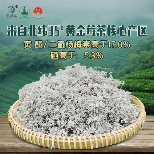 特级野生芽尖莓茶20克罐装润喉茶