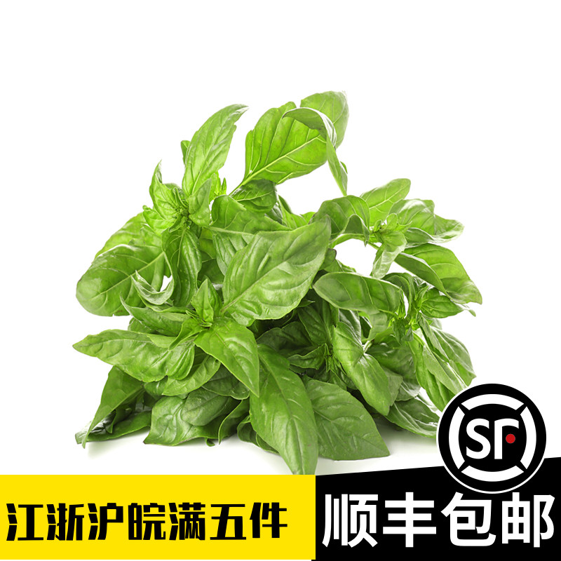 Fresh basil leaves Basil Edible seedling 250g Luo le Leaves of sweet Euro Basil Western spice Pesto Pizzain the Aquatic meat/Fresh fruits and vegetables/Cooked , Fresh vegetables/Vegetable products , Jingcai  category - from Buy2taobao.com to provide professional Taobao agent buy service