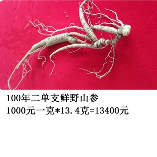 100年纯正新鲜野山参野生人参长白山野生人参