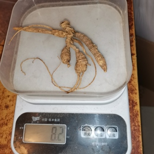 20-50年美国正宗花旗参野生老原尾泡参西洋参整枝