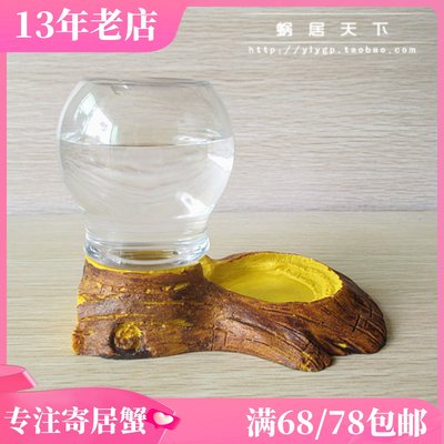 【自动喂水器】寄居蟹饮水器 两栖小爬宠鸣虫宠物用品 外出更放心