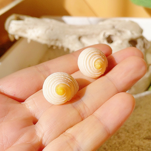 【迷你豆丁蟹专用】1-3cm寄居蟹替换壳 专用备用壳 天然海螺空壳
