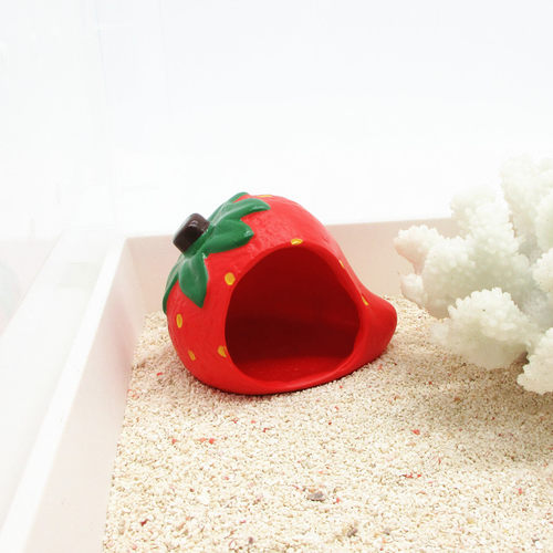 【草莓房子-蜗居天下】寄居蟹躲避屋躲藏洞穴 宠物饲养箱造景装饰 - 封面